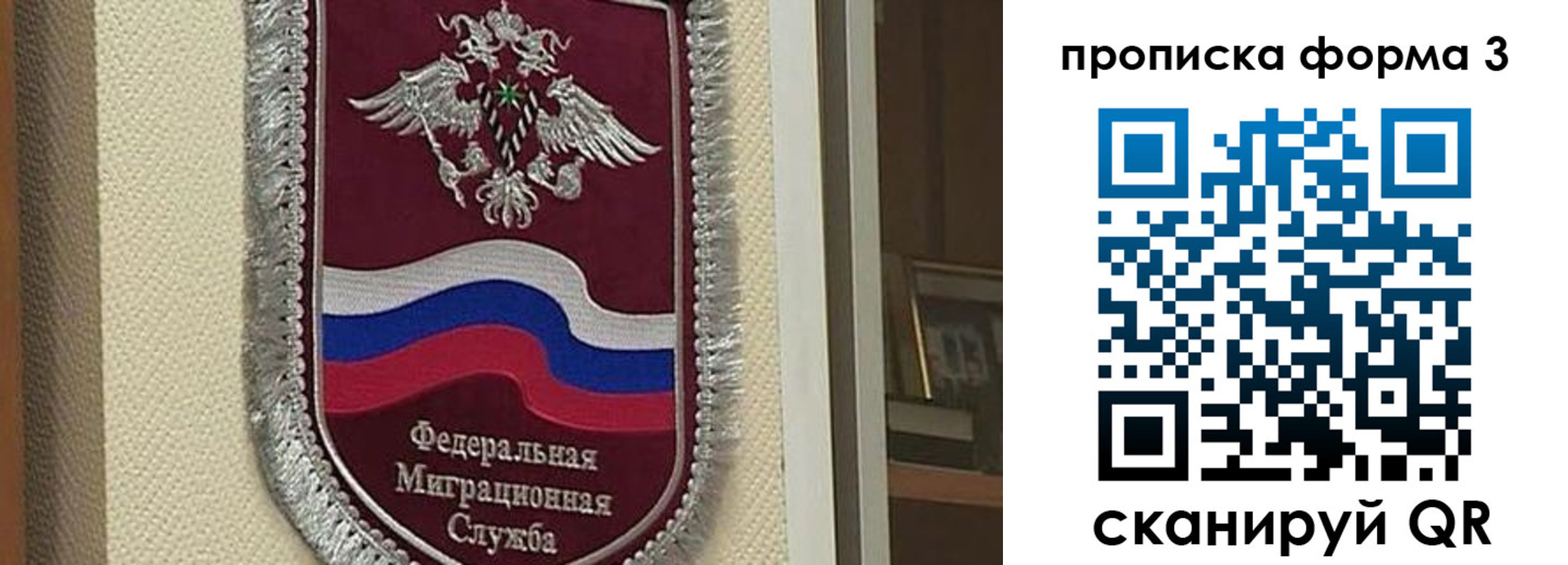 где прописаться в Жукове